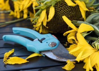 Revolutionize Your Garden with the Latest Machinery Innovations