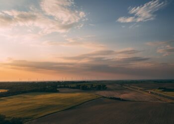 Gentle Gardening: Harnessing the Power of Low-Impact Techniques for a Sustainable Green Oasis