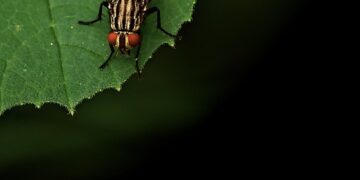 Revolutionizing Disease Treatment: A Breakthrough Approach for Improved Patient Outcomes