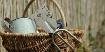 The Essential Guide to Gardening Tools: Must-Have Equipment for a Thriving Garden