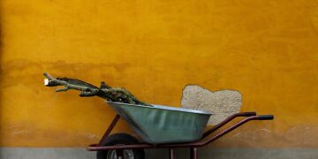 The Essential Tool: Unleashing the Power of Watering Cans