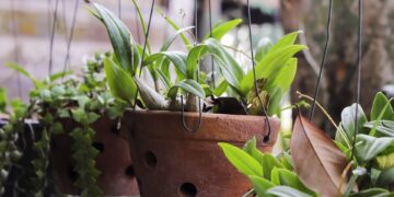 Grow Your Indoor Oasis: Essential Supplies for Thriving Indoor Gardens