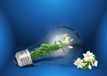 Green Gardening: Harnessing the Power of Renewable Resources for a Sustainable Oasis