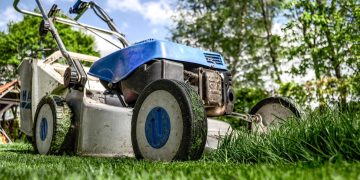 Essential Gardening Tools for Every Green Thumb
