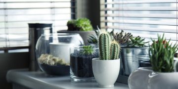 Indoor Gardening Secrets: Tips and Tricks for Growing Plants Inside