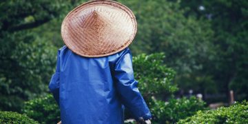 Reviving Nature's Balance: The Art of Sustainable Gardening